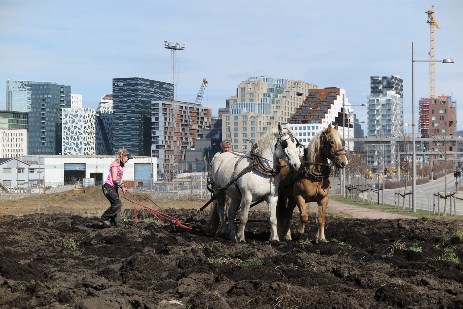 Art projects: Future Library and Losæter – Bjørvika Utvikling
